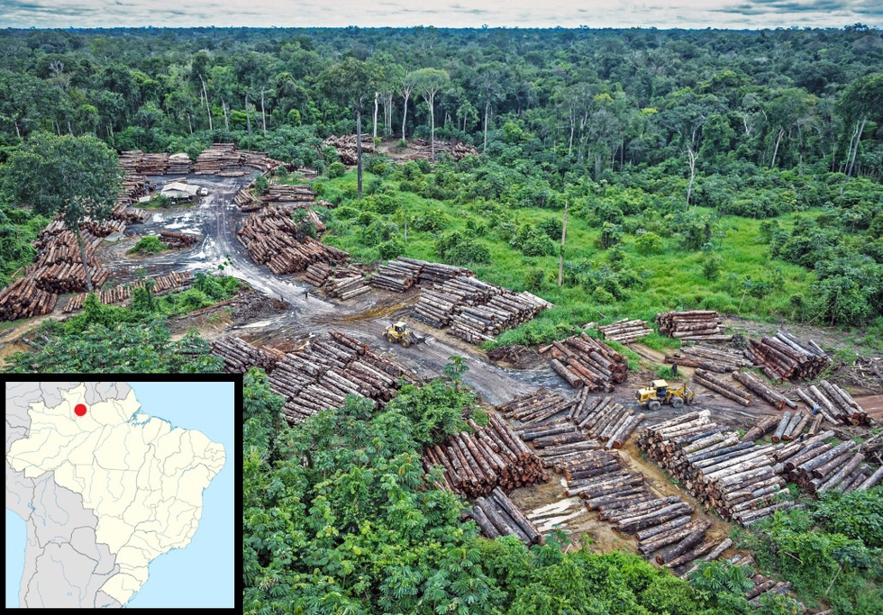 Illegal logging on Pirititi indigenous Amazon land. Source: quapan / Flickr