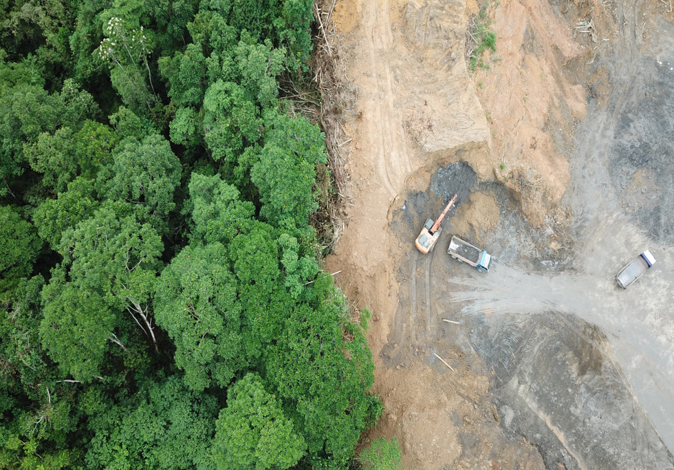 Amazon deforestation. Credit: Rich Carey / Shutterstock