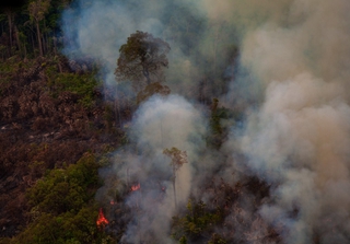 Recent burned and deforested area within Jamanxim National Forest. Amazon Rainforest - Pará / Brazil. Photo: marcio isensee / Shutterstock