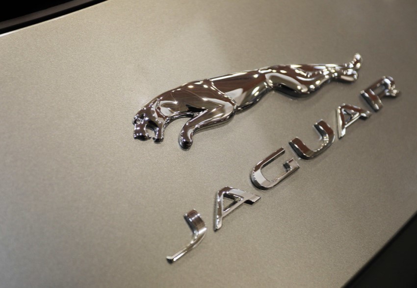 Jaguar. Photo: Marco Verch / ccnull