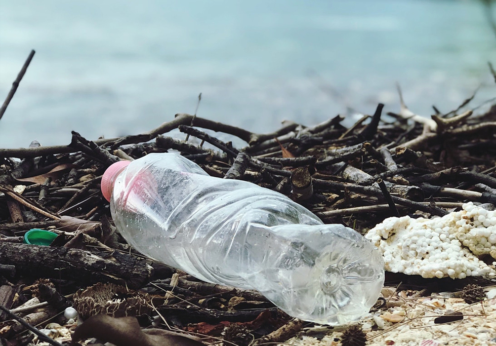 Plastic polution.jpg