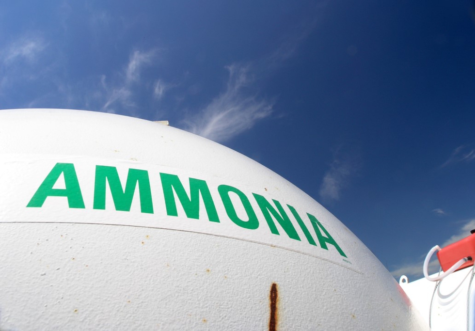 Ammonia. Photo: Robert Kyllo / Shutterstock