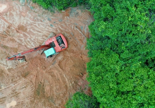 Rainforest jungle in Southeast Asia destroyed to make way for palm oil plantations. Credit: Rich Carey / Shutterstock