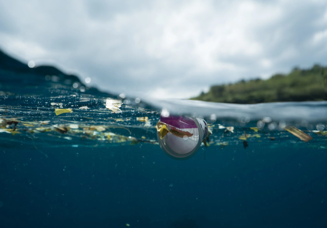 Ocean plastic waste. Credit: 7inchs / Pexels