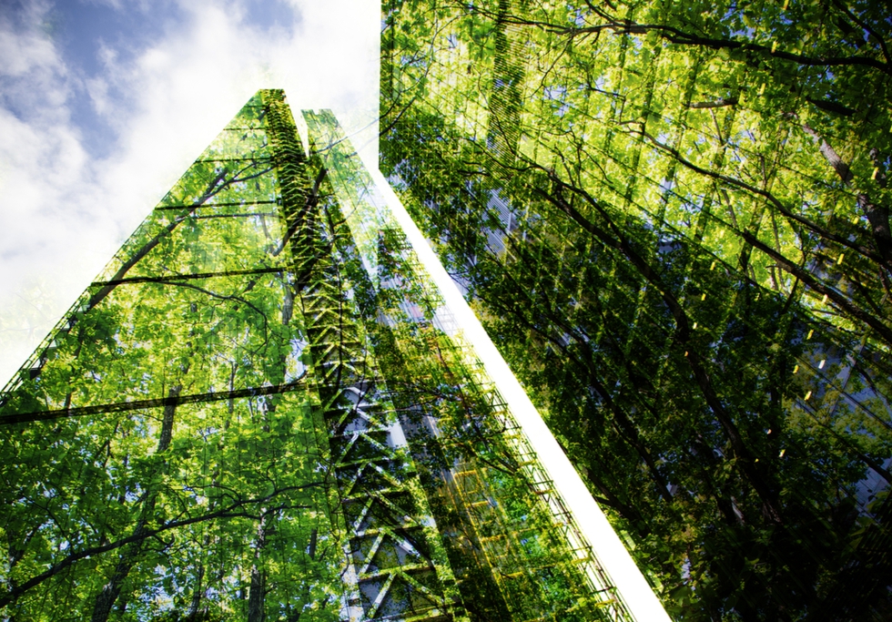 Green building. Credit: Melinda Nagy / Shutterstock