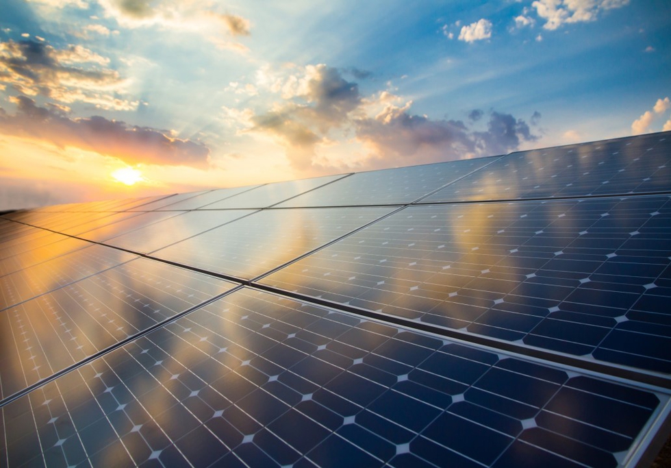 Photovoltaic panels. Credit: foxbat / Shutterstock