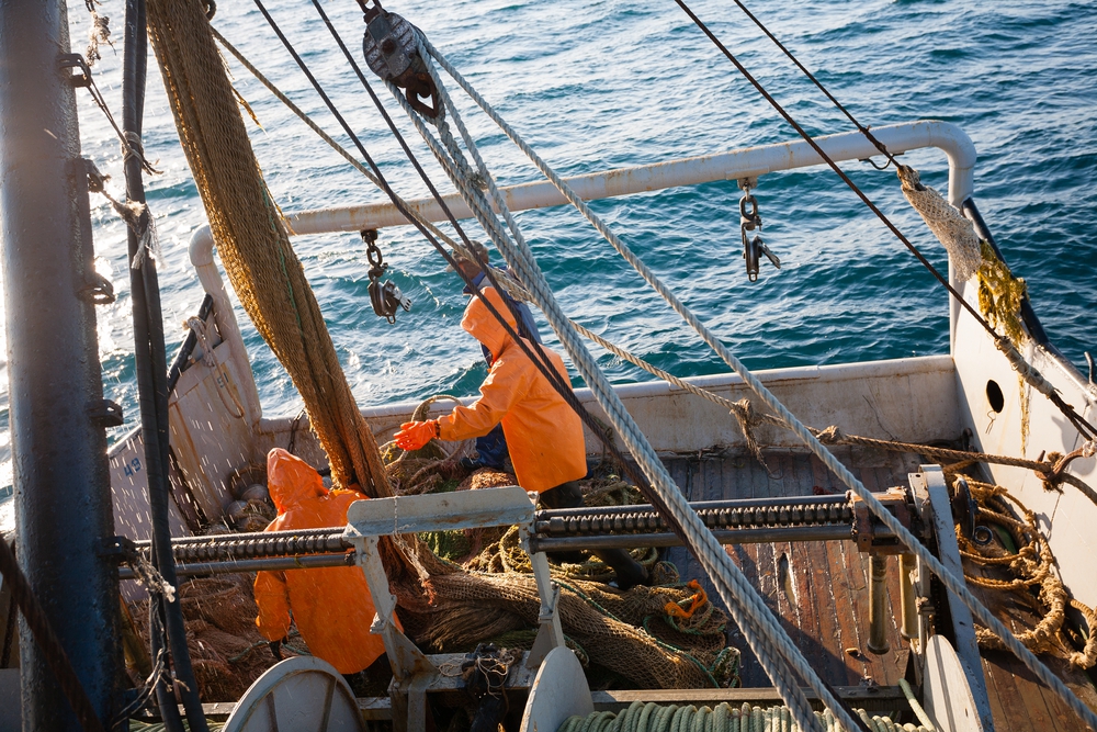 Fishing rights. БМРТ Васильевский остров. БАТМ остров Сахалин. Промысловая палуба БМРТ. СРТМ мыс Крузенштерна.