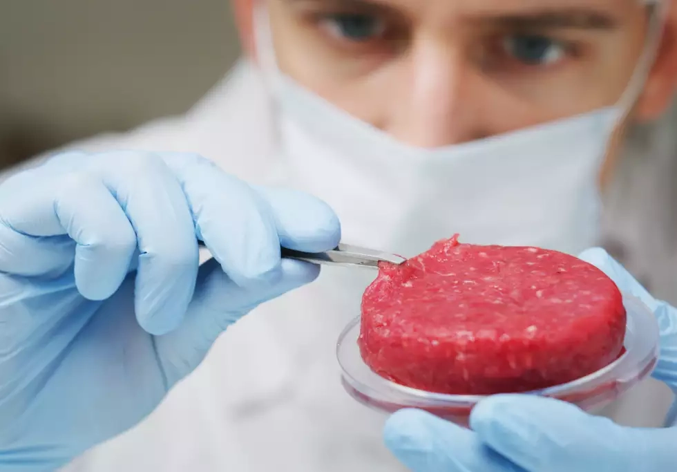 Cultured meat made in a lab. Credit: HQuality / Shutterstock