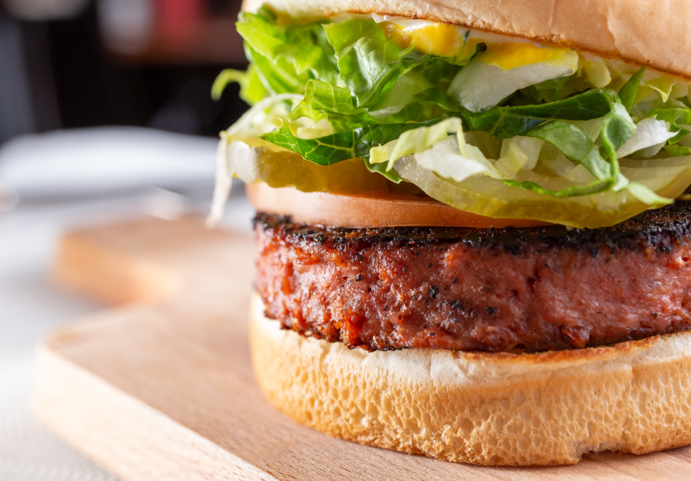 Plant-based burger. Credit: The Image Party  / Shutterstock