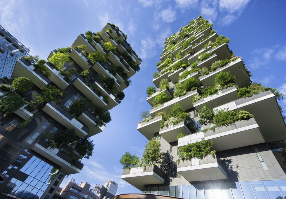 Sustainable homes. Credit: Federico Rostagno / Shutterstock